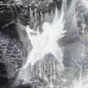 Meet your Posher, Ilyne